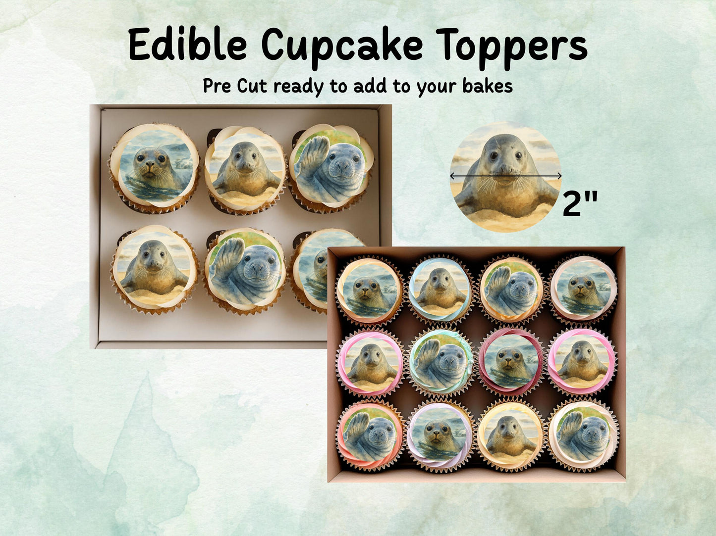 Seal Edible Cupcake Toppers 12 x 2"– Pre cut Wafer Paper, Card or Icing Sheet, Birthday, Cupcakes, Cookies, Cake, Seal Decoration