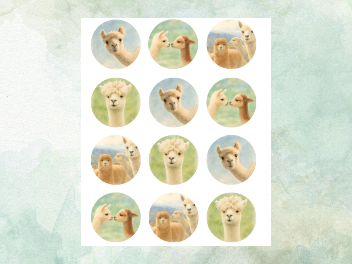 Alpaca Edible Cupcake Toppers 12 x 2"– Pre cut Wafer Paper, Card or Icing Sheet, Alpaca Birthday Cake Decoration