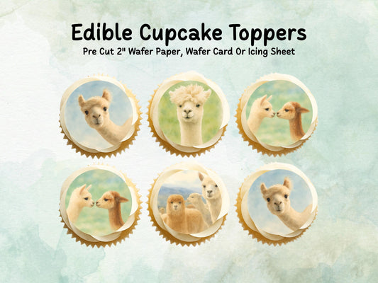 Alpaca Edible Cupcake Toppers 12 x 2"– Pre cut Wafer Paper, Card or Icing Sheet, Alpaca Birthday Cake Decoration