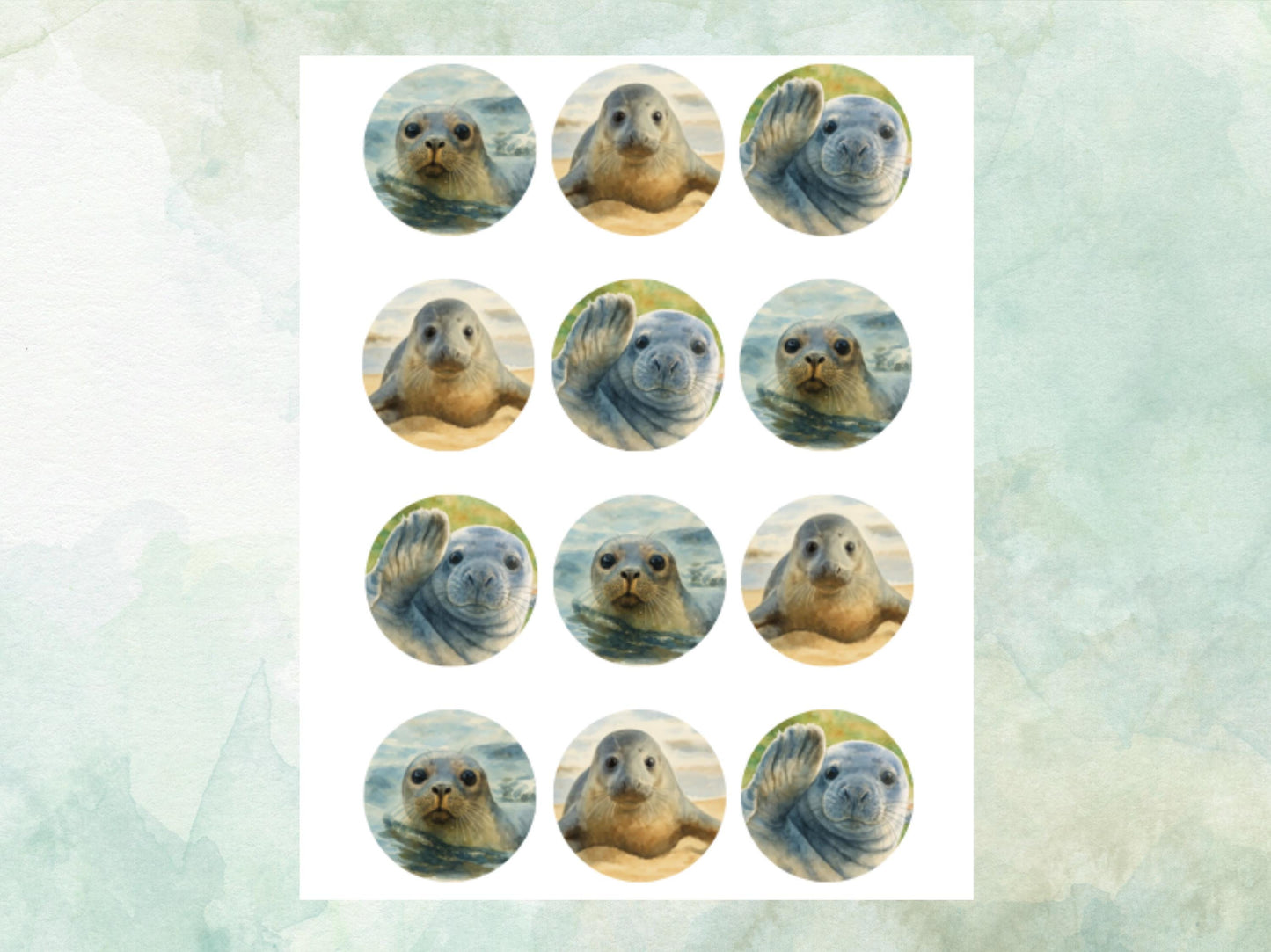 Seal Edible Cupcake Toppers 12 x 2"– Pre cut Wafer Paper, Card or Icing Sheet, Birthday, Cupcakes, Cookies, Cake, Seal Decoration