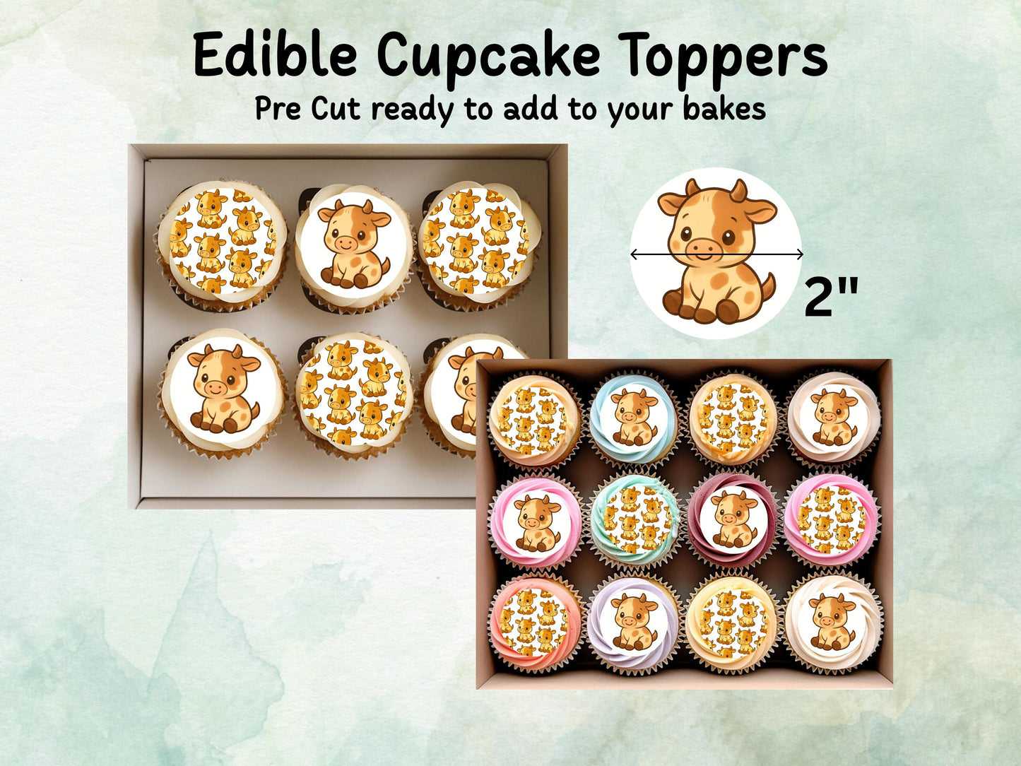Cute Cow Edible Cupcake Toppers 12 x 2"– Pre cut Wafer Paper, Card or Icing Sheet, Cow Birthday Cake Topper, Kids Birthday Cake