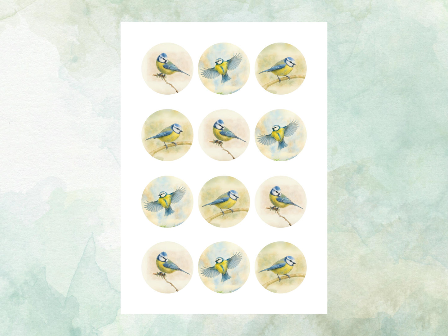Blue Tit Edible Cupcake Toppers 12 x 2"– Pre cut Wafer Paper, Card or Icing Sheet, Blue Tit Birthday Cake Topper, Bird Theme Cake Toppers