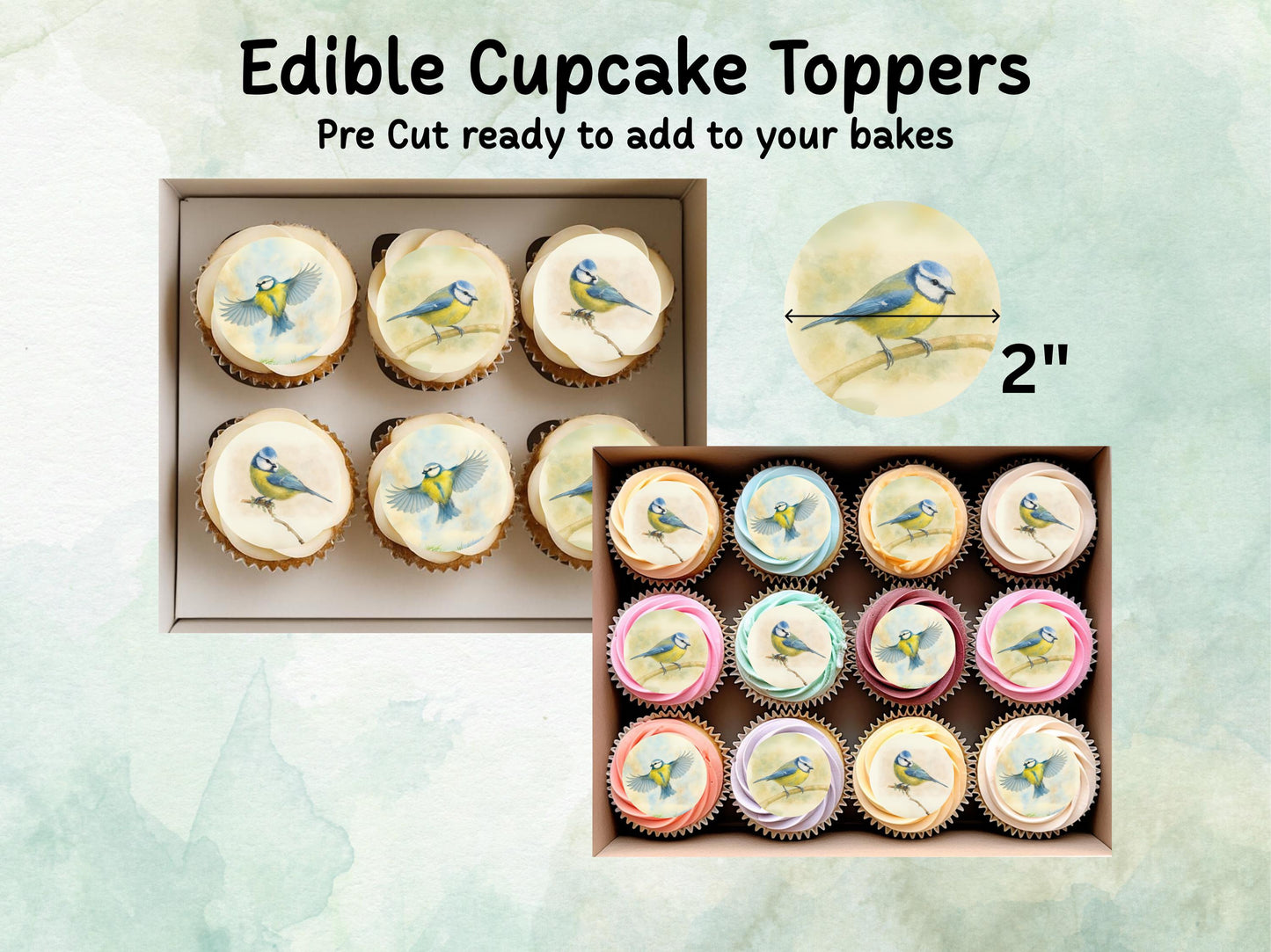 Blue Tit Edible Cupcake Toppers 12 x 2"– Pre cut Wafer Paper, Card or Icing Sheet, Blue Tit Birthday Cake Topper, Bird Theme Cake Toppers