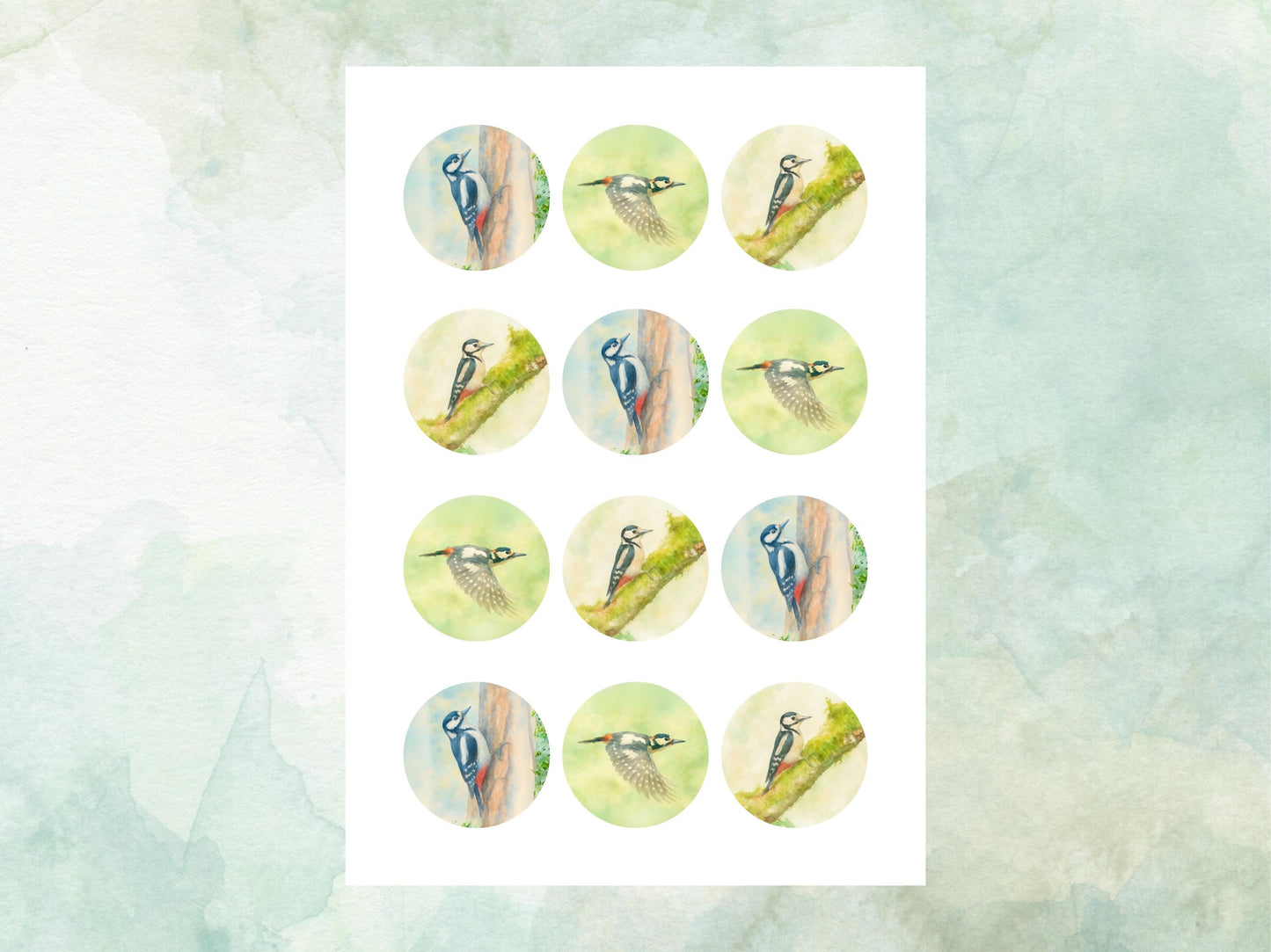 Woodpecker Edible Cupcake Toppers 12 x 2"– Pre cut Wafer Paper, Card or Icing Sheet, Woodpecker Birthday Cake Topper