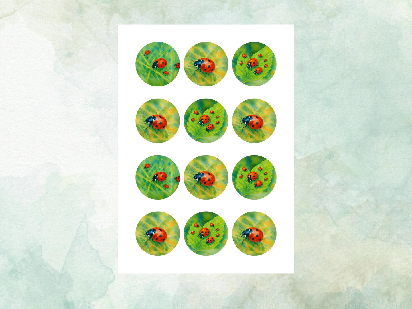 Ladybird Edible Cupcake Toppers 12 x 2"– Pre cut Wafer Paper, Card or Icing Sheet, Ladybug Birthday Cake Topper