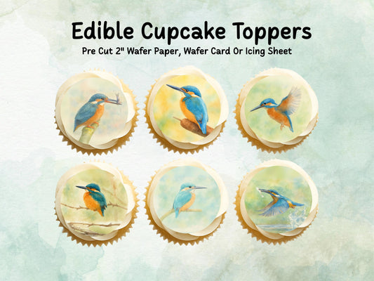 King Fisher Edible Cupcake Toppers 12 x 2"– Pre cut Wafer Paper, Card or Icing Sheet, King Fisher Bird Birthday Cake Topper