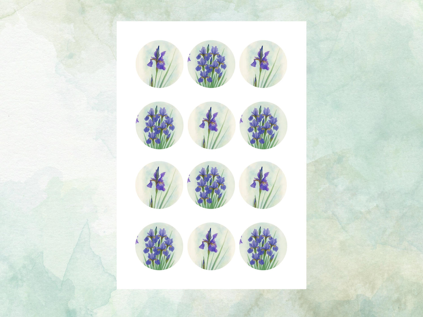 February Birth Flower Edible Cupcake Toppers – 12 x 2" Iris Design, Pre cut Wafer Paper, Card or Icing Sheet, Birth Month Floral Cake Topper