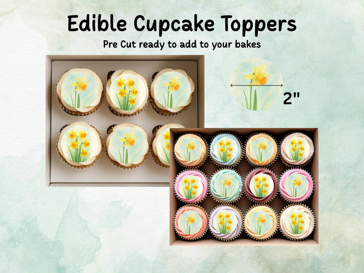 March Birth Flower Edible Cupcake Toppers – 12 x 2" Daffodil Design, Pre cut Wafer Paper, Card or Icing Sheet, Floral Cake Topper