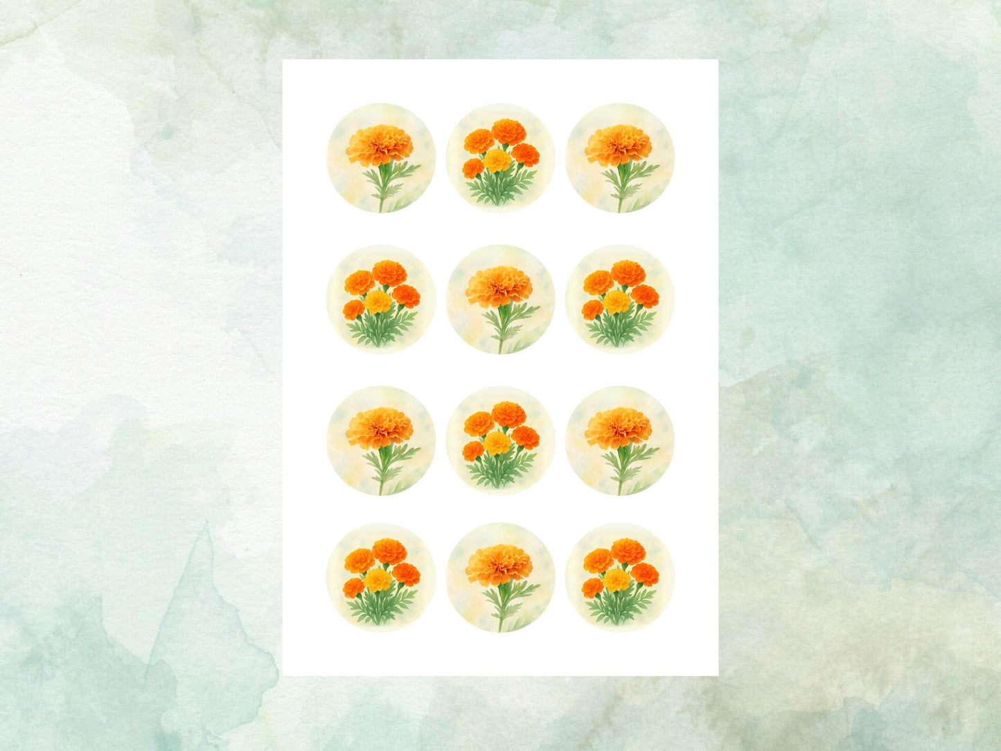 October Birth Flower Edible Cupcake Toppers – 12 x 2" Marigold Design, Pre cut Wafer Paper, Card or Icing Sheet, Floral Cake Topper