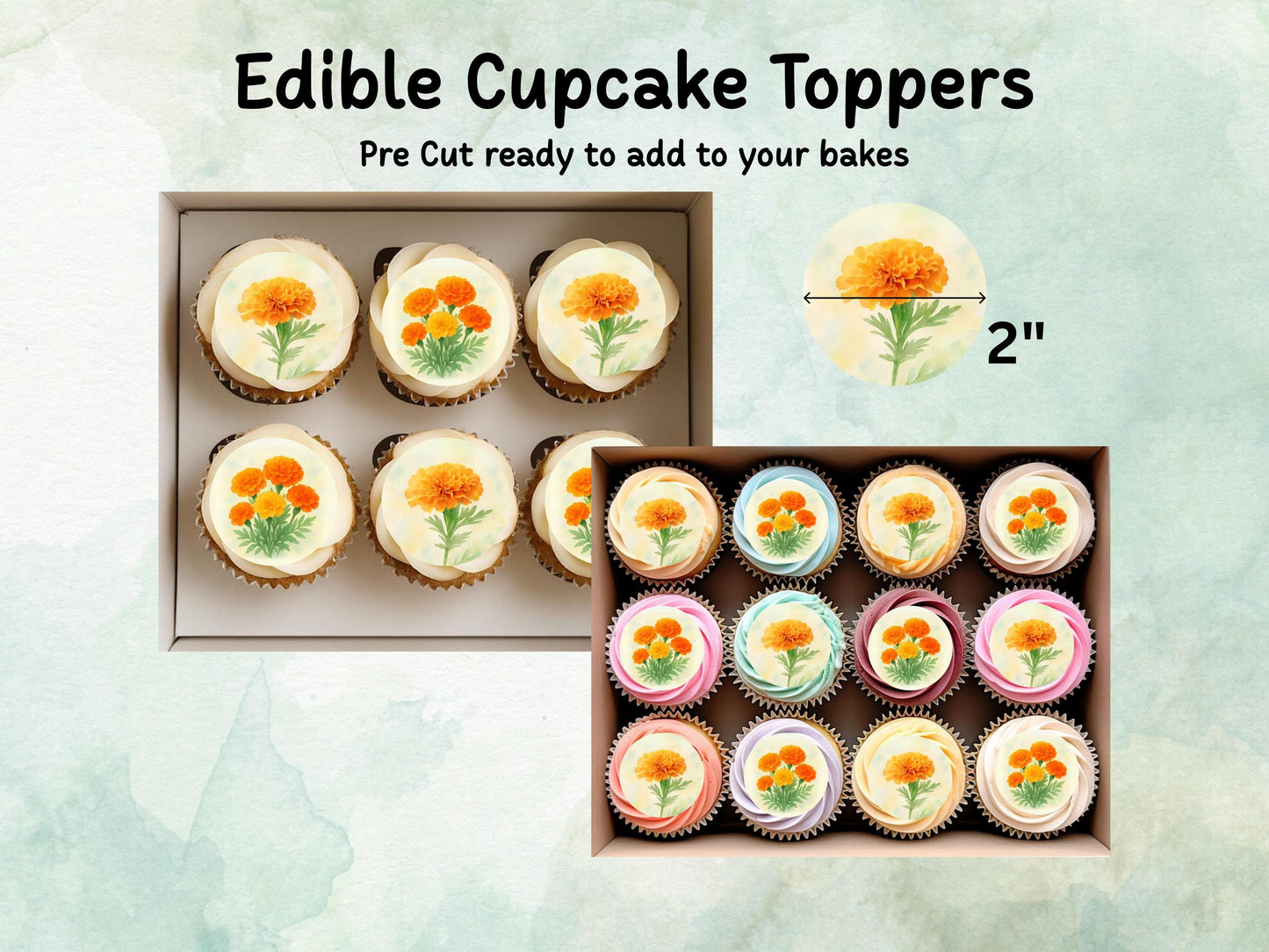 October Birth Flower Edible Cupcake Toppers – 12 x 2" Marigold Design, Pre cut Wafer Paper, Card or Icing Sheet, Floral Cake Topper