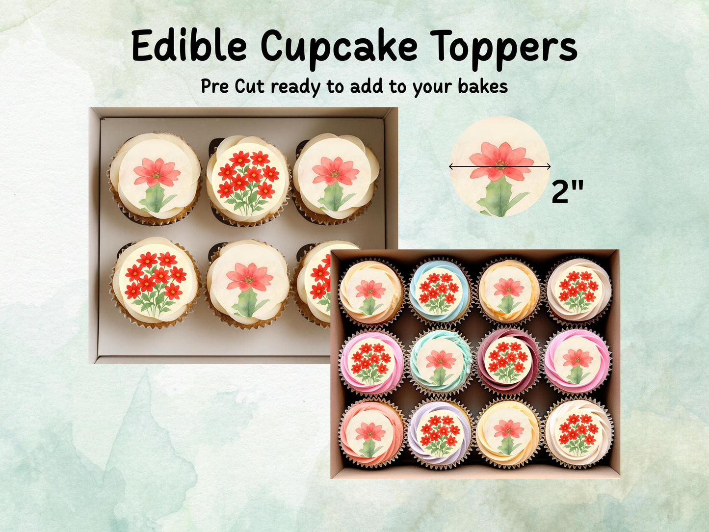 December Birth Flower Edible Cupcake Toppers – 12 x 2" Poinsettia Design, Pre cut Wafer Paper, Card or Icing Sheet, Floral Cake Topper