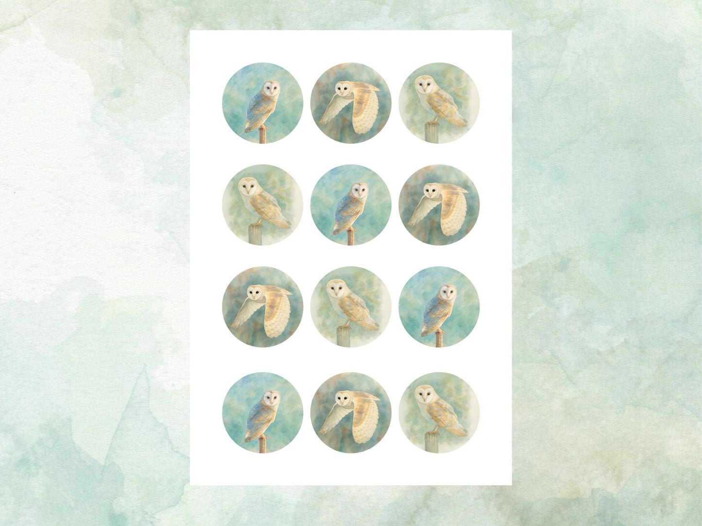 Barn Owl Edible Cupcake Toppers 12 x 2"– Pre cut Wafer Paper, Card or Icing Sheet, Barn Owl Birthday Cake Topper, Owl Birthday Cake