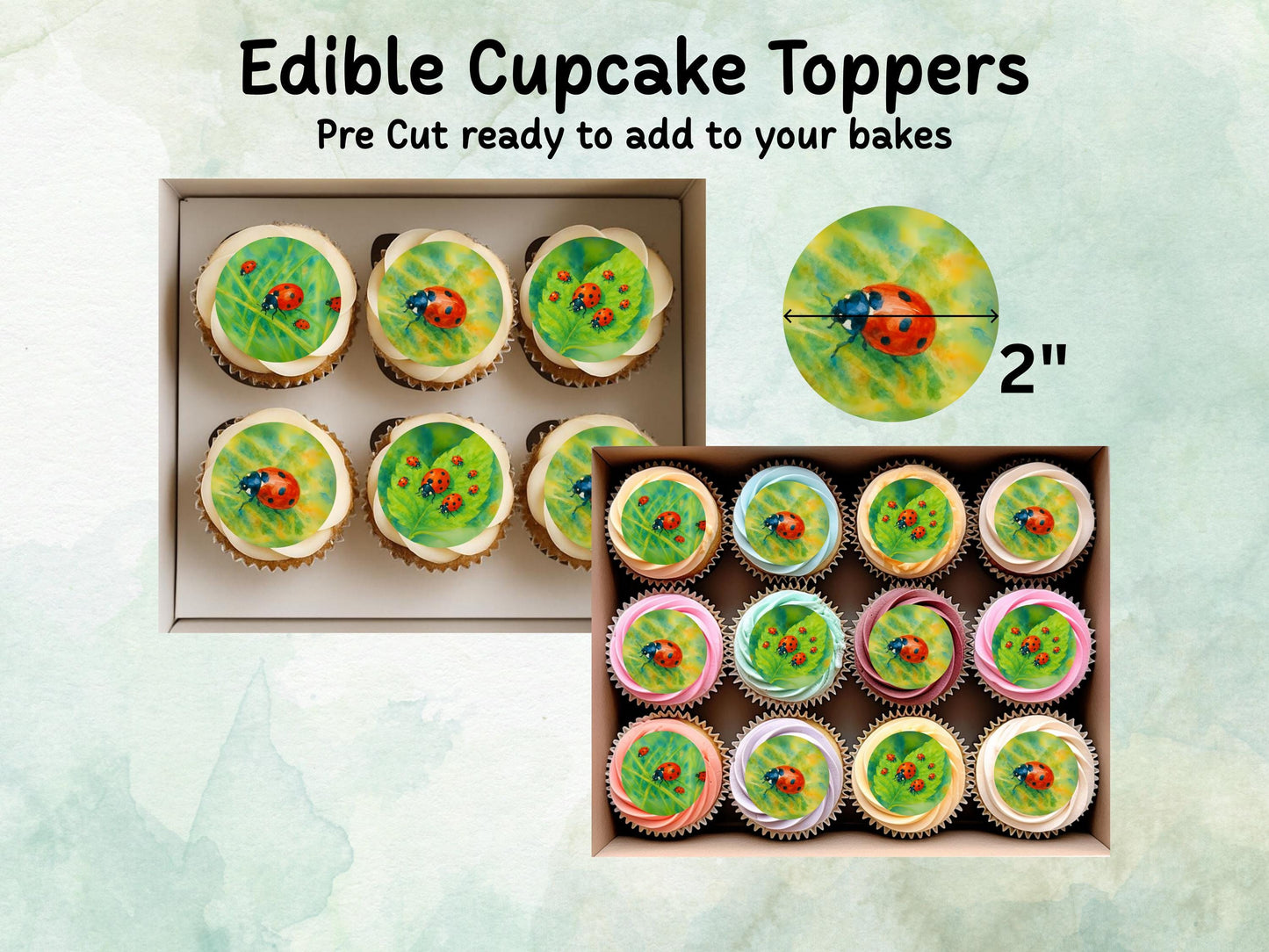 Ladybird Edible Cupcake Toppers 12 x 2"– Pre cut Wafer Paper, Card or Icing Sheet, Ladybug Birthday Cake Topper