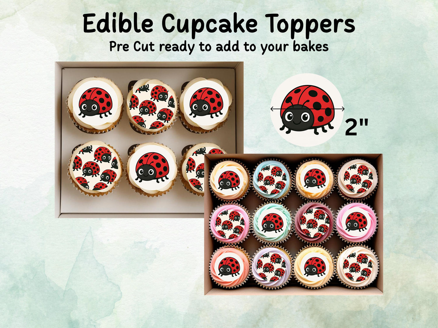 Cute Ladybird Edible Cupcake Toppers 12 x 2"– Pre cut Wafer Paper, Card or Icing Sheet, Ladybug Birthday Cake Topper