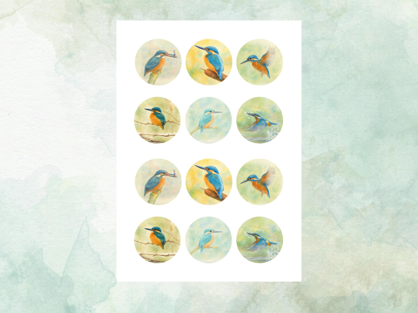 King Fisher Edible Cupcake Toppers 12 x 2"– Pre cut Wafer Paper, Card or Icing Sheet, King Fisher Bird Birthday Cake Topper
