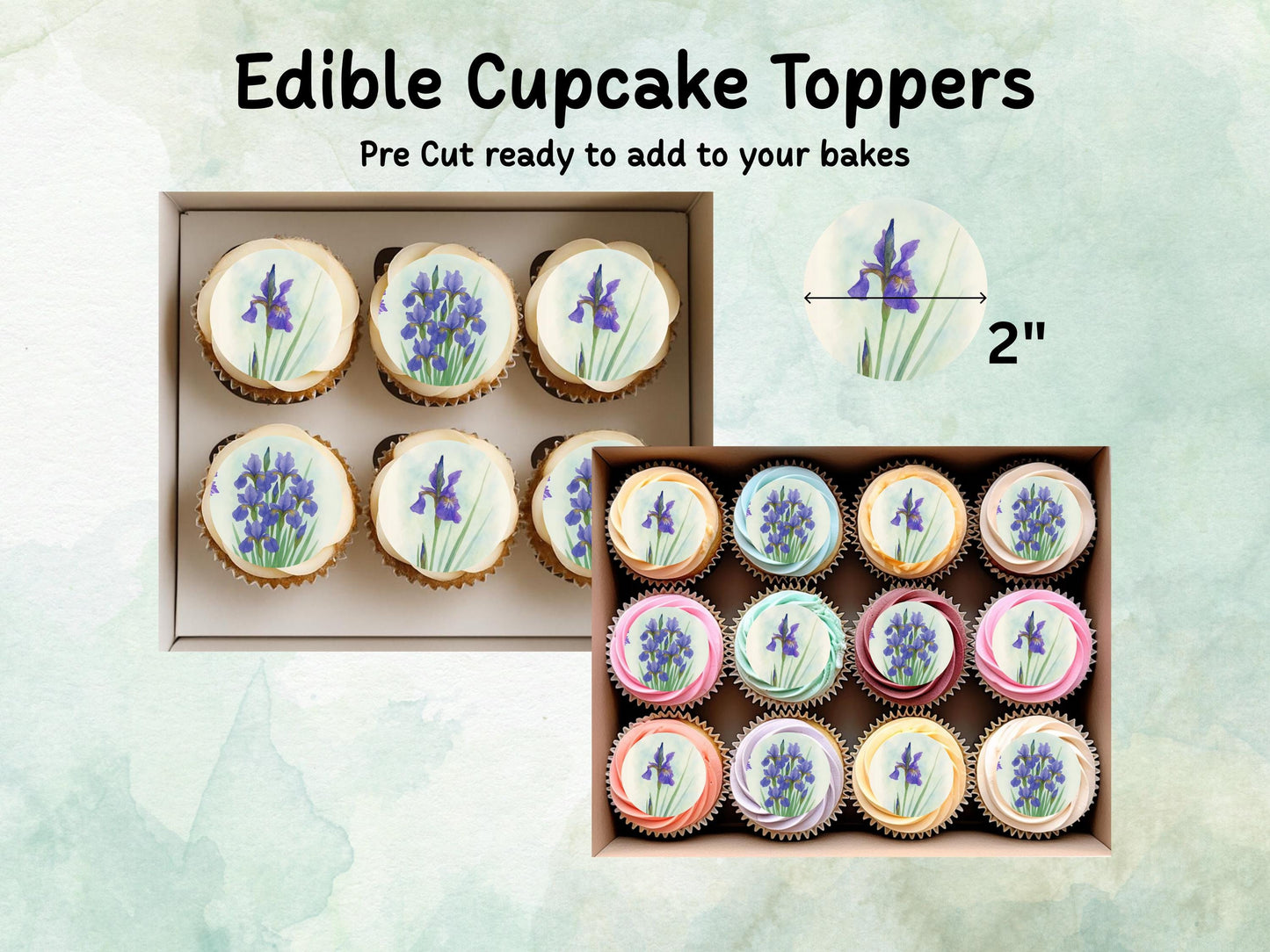 February Birth Flower Edible Cupcake Toppers – 12 x 2" Iris Design, Pre cut Wafer Paper, Card or Icing Sheet, Birth Month Floral Cake Topper