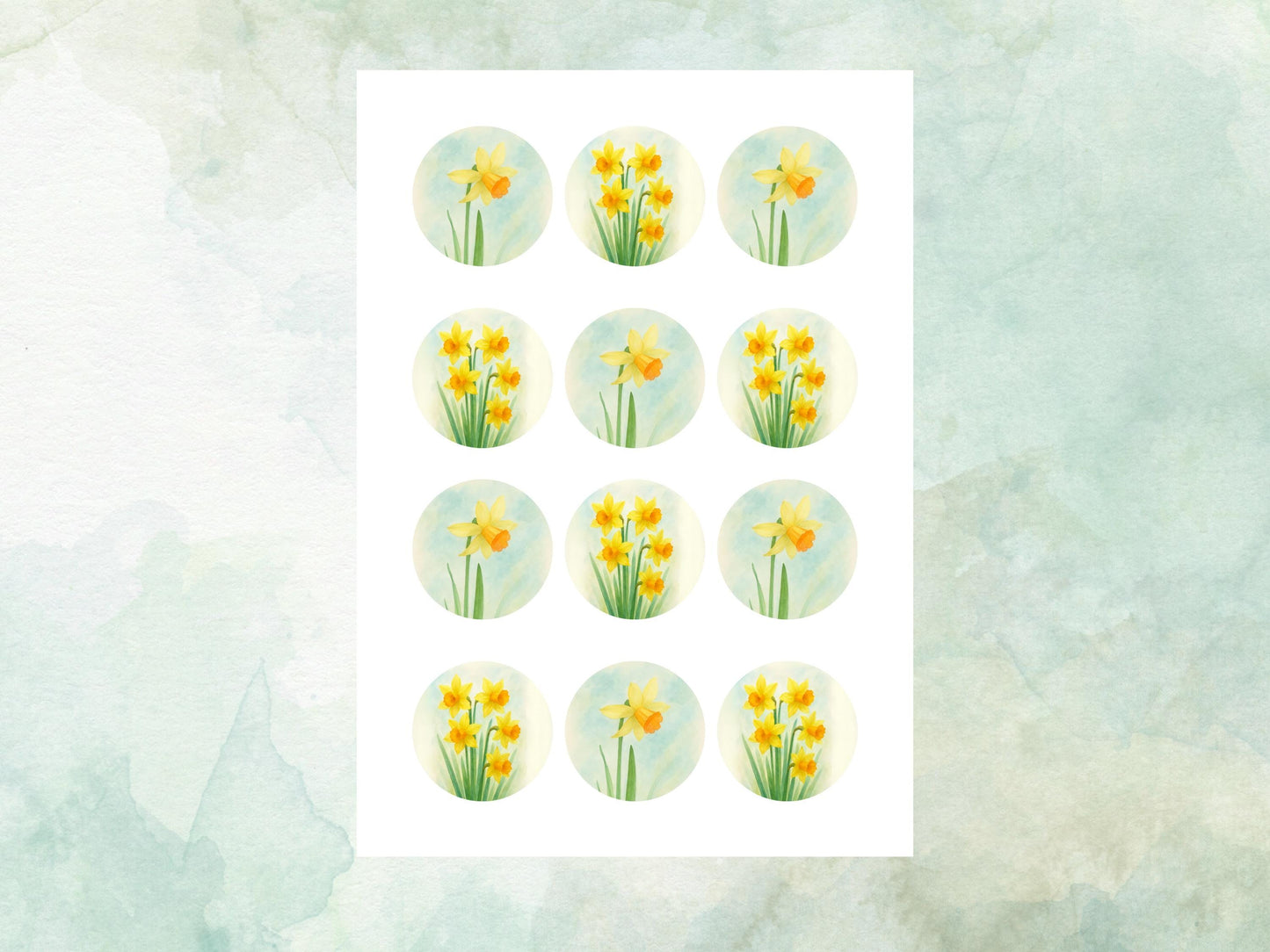 March Birth Flower Edible Cupcake Toppers – 12 x 2" Daffodil Design, Pre cut Wafer Paper, Card or Icing Sheet, Floral Cake Topper