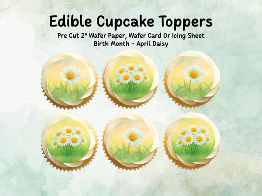 April Birth Flower Edible Cupcake Toppers – 12 x 2" Daisy Design, Pre cut Wafer Paper, Card or Icing Sheet, Birth Month Floral Cake Topper