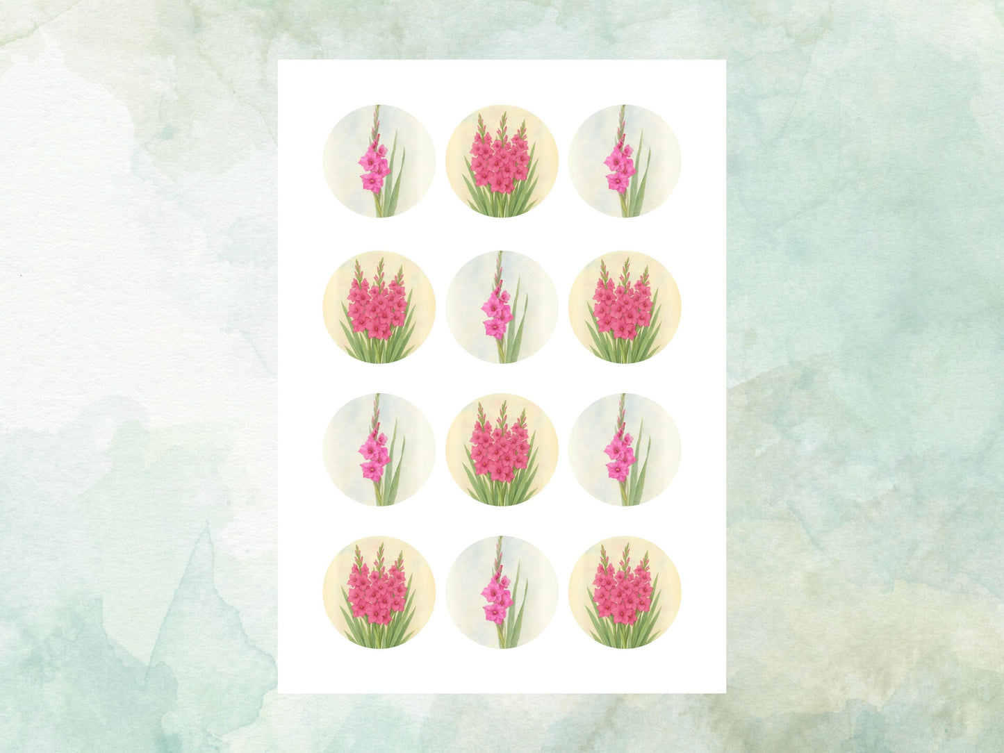 August Birth Flower Edible Cupcake Toppers – 12 x 2" Gladiolus Design, Pre cut Wafer Paper, Card or Icing Sheet, Floral Cake Topper