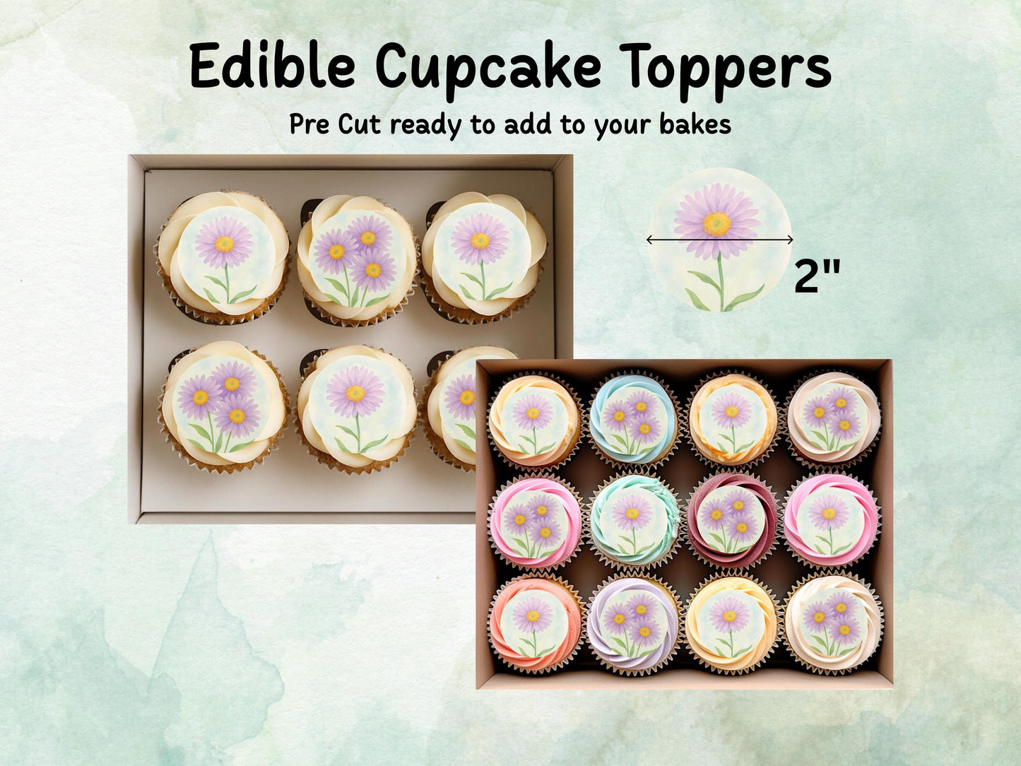 September Birth Flower Edible Cupcake Toppers – 12 x 2" Aster Design, Pre cut Wafer Paper, Card or Icing Sheet, Floral Cake Topper