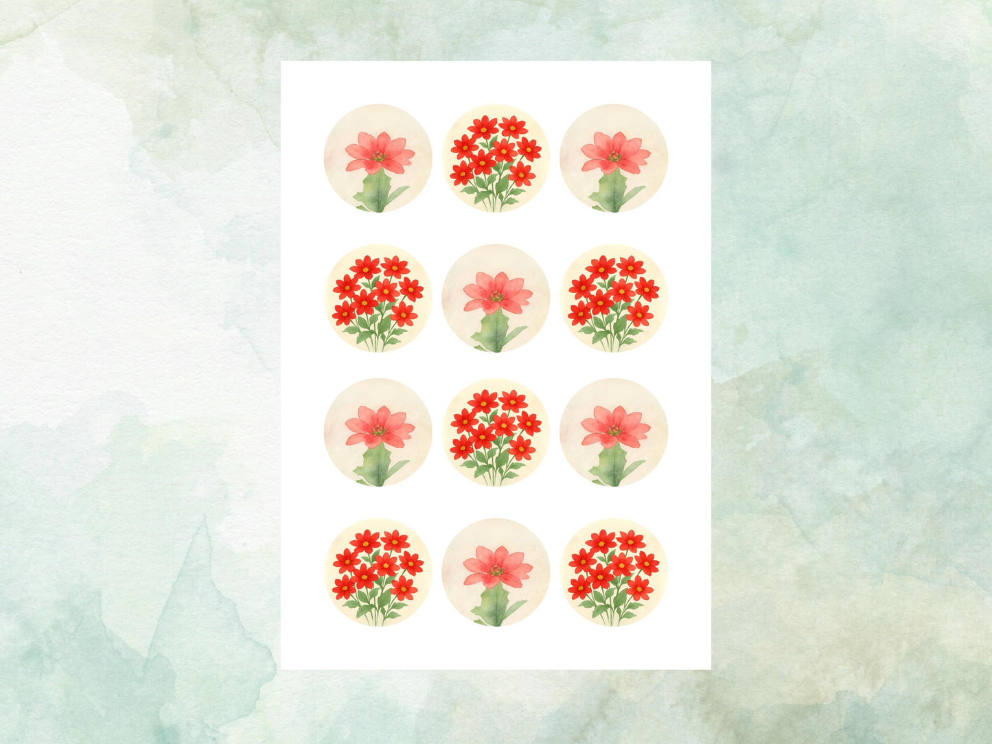 December Birth Flower Edible Cupcake Toppers – 12 x 2" Poinsettia Design, Pre cut Wafer Paper, Card or Icing Sheet, Floral Cake Topper