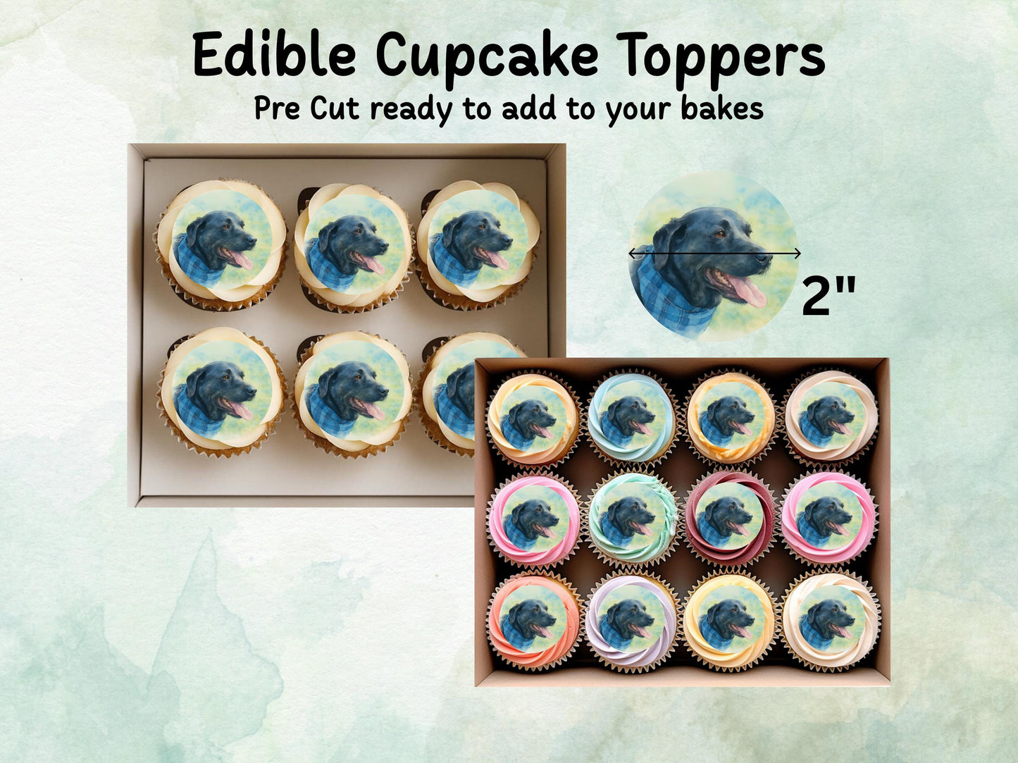 Black Labrador Edible Cupcake Toppers - Pre Cut 12 x 2" Wafer Paper, Card or Icing Sheet
