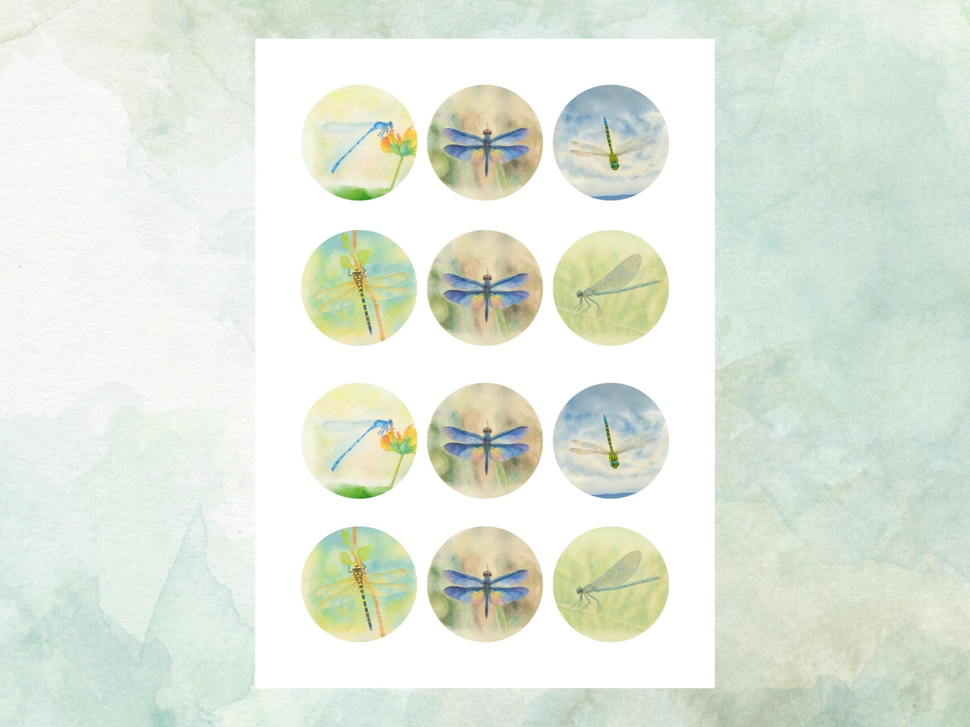Dragonfly Edible Cupcake Toppers 12 x 2"– Pre cut Wafer Paper, Card or Icing Sheet, Dragonfly Birthday Cake Topper
