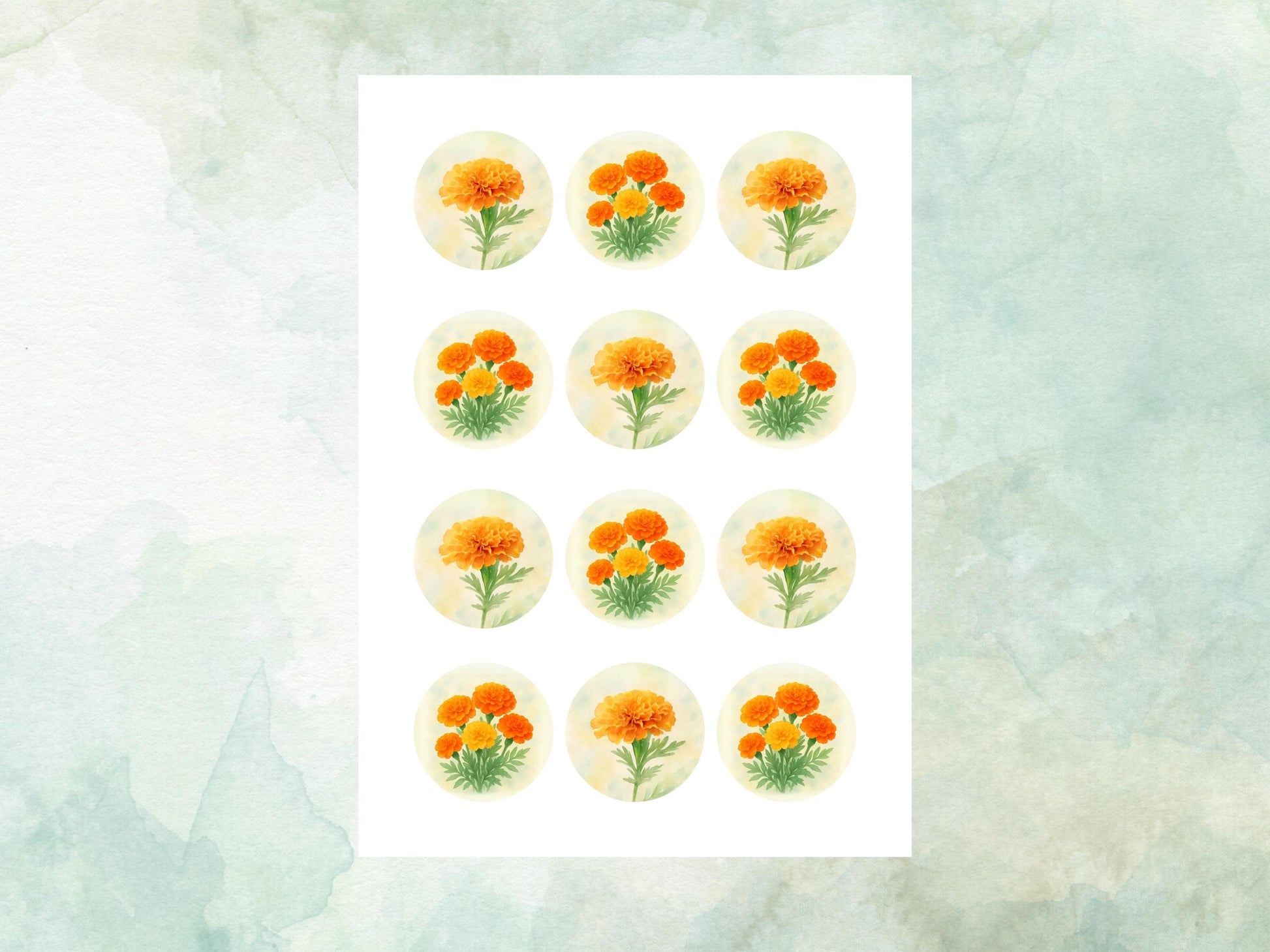 October Birth Flower Edible Cupcake Toppers – 12 x 2" Marigold Design, Pre cut Wafer Paper, Card or Icing Sheet, Floral Cake Topper