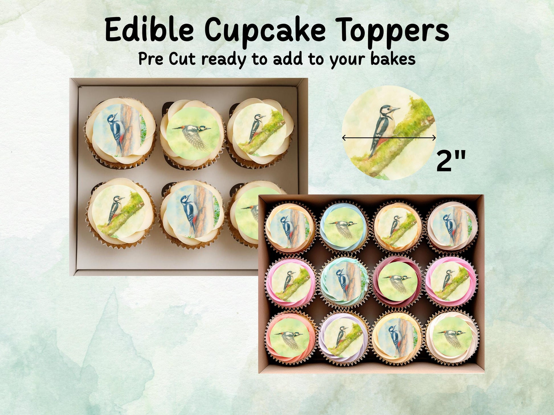 Woodpecker Edible Cupcake Toppers 12 x 2"– Pre cut Wafer Paper, Card or Icing Sheet, Woodpecker Birthday Cake Topper