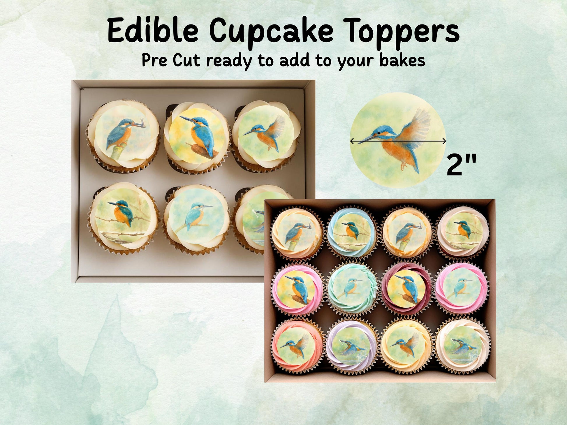 King Fisher Edible Cupcake Toppers 12 x 2"– Pre cut Wafer Paper, Card or Icing Sheet, King Fisher Bird Birthday Cake Topper
