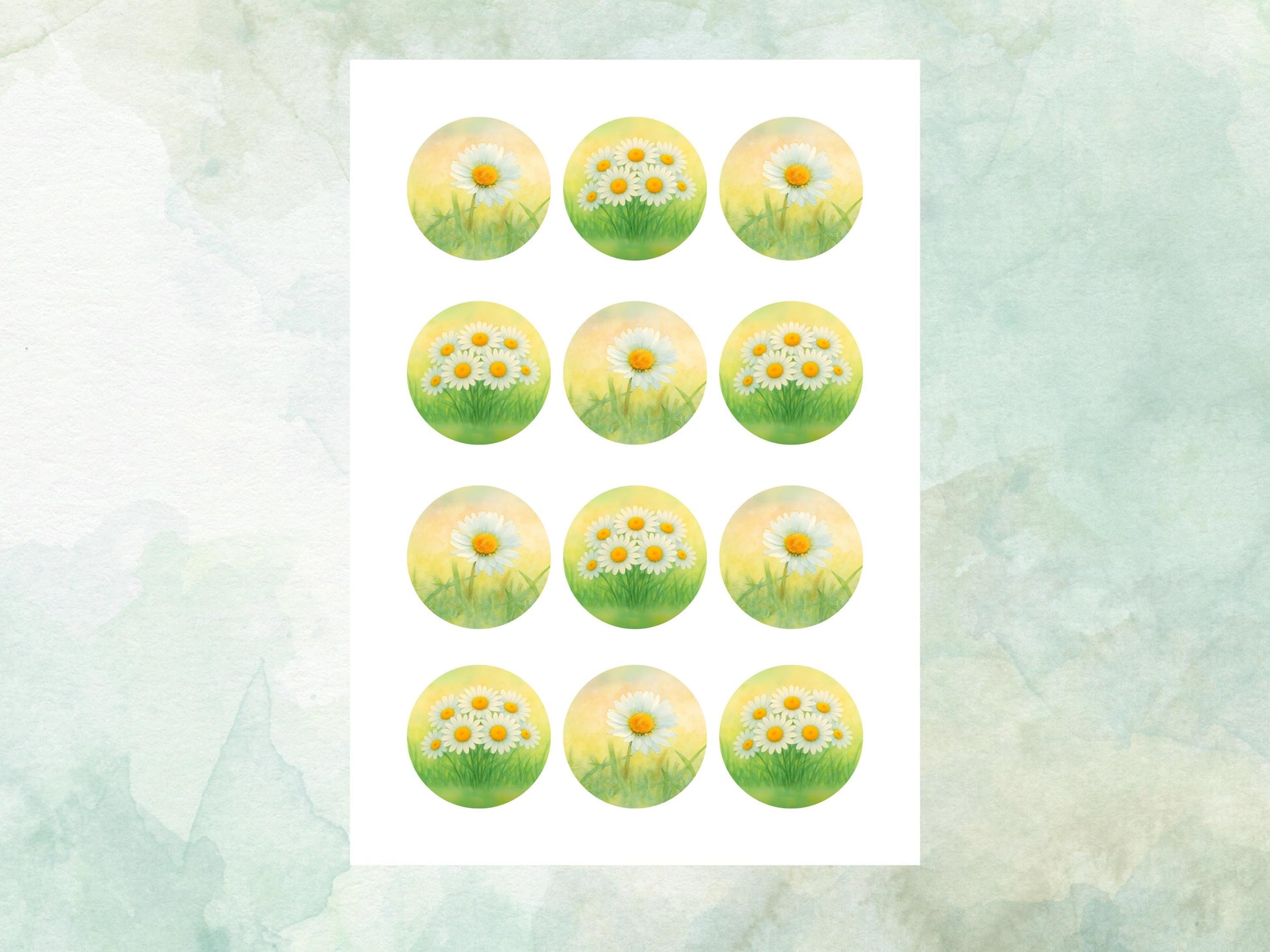 April Birth Flower Edible Cupcake Toppers – 12 x 2" Daisy Design, Pre cut Wafer Paper, Card or Icing Sheet, Birth Month Floral Cake Topper