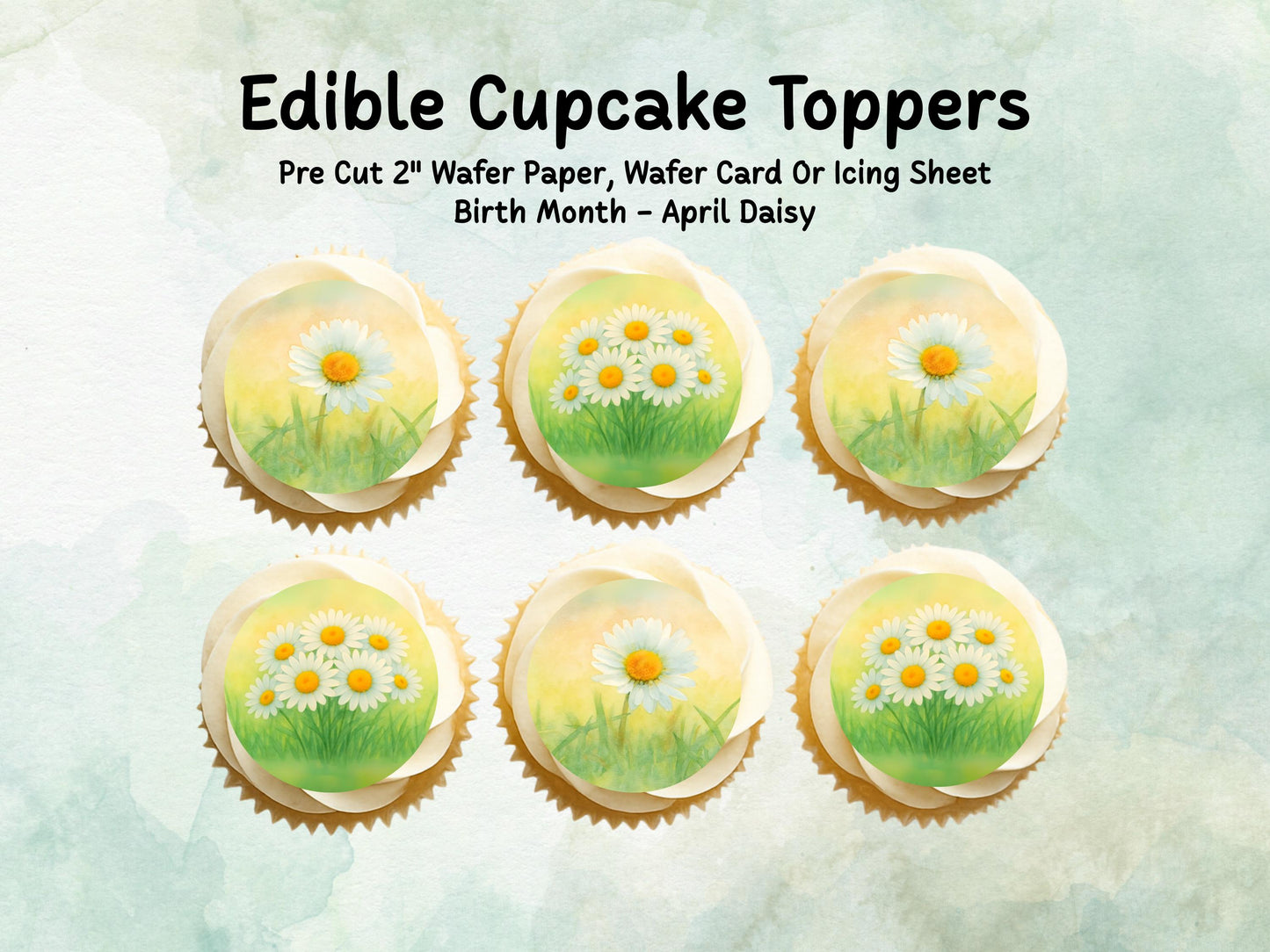 April Birth Flower Edible Cupcake Toppers – 12 x 2" Daisy Design, Pre cut Wafer Paper, Card or Icing Sheet, Birth Month Floral Cake Topper