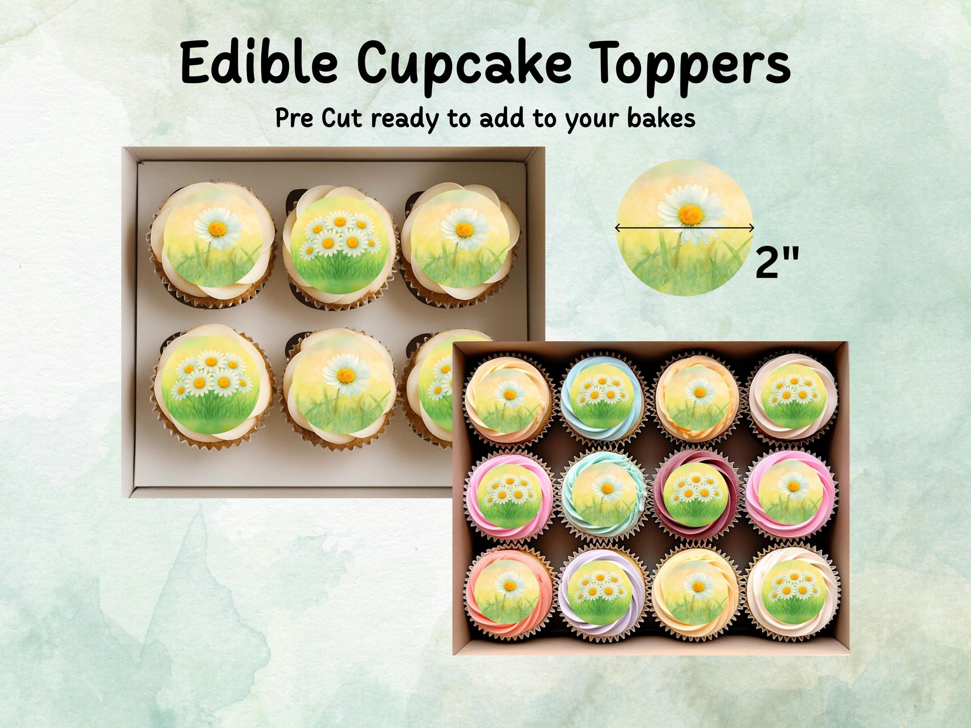 April Birth Flower Edible Cupcake Toppers – 12 x 2" Daisy Design, Pre cut Wafer Paper, Card or Icing Sheet, Birth Month Floral Cake Topper