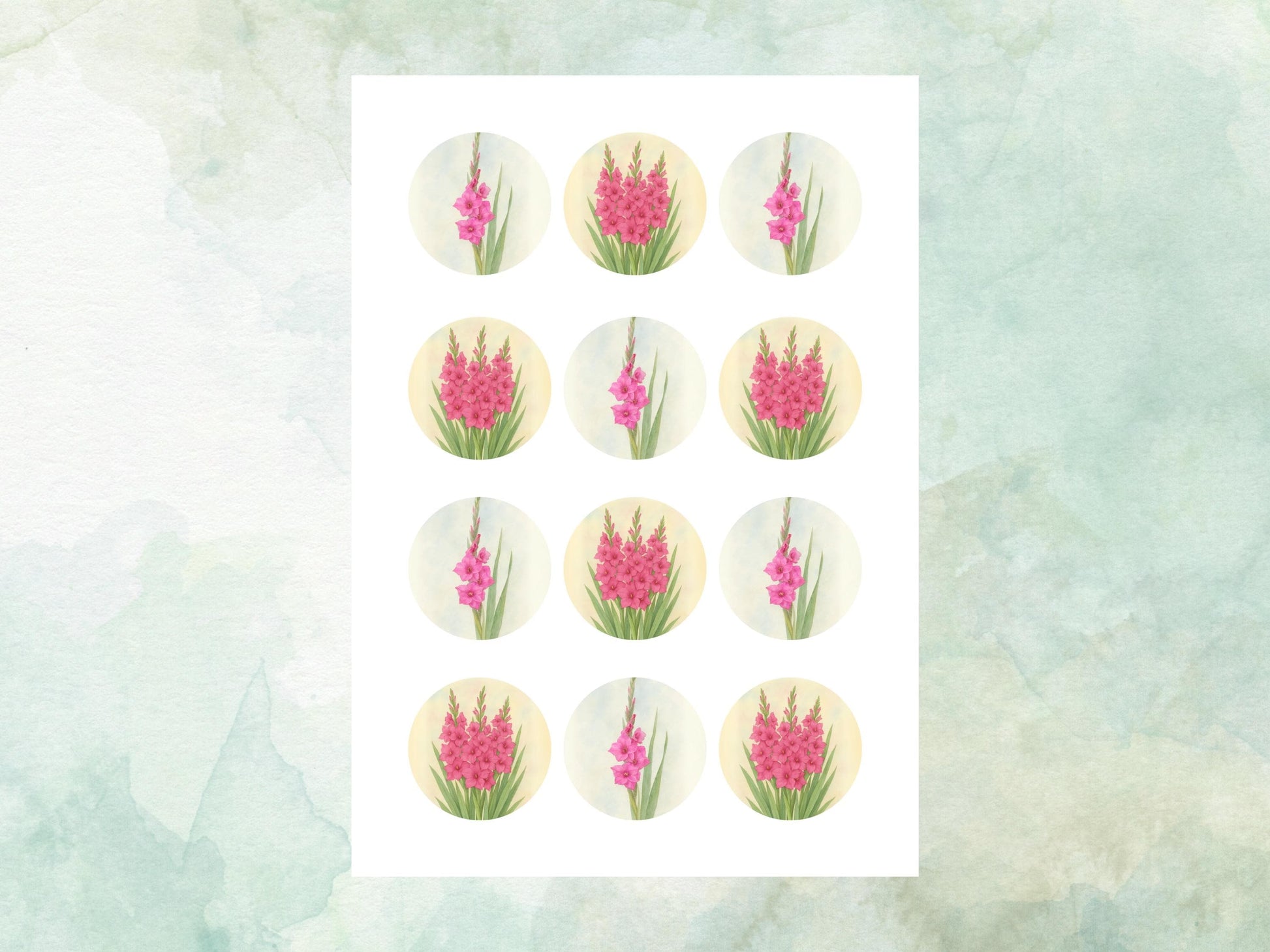 August Birth Flower Edible Cupcake Toppers – 12 x 2" Gladiolus Design, Pre cut Wafer Paper, Card or Icing Sheet, Floral Cake Topper