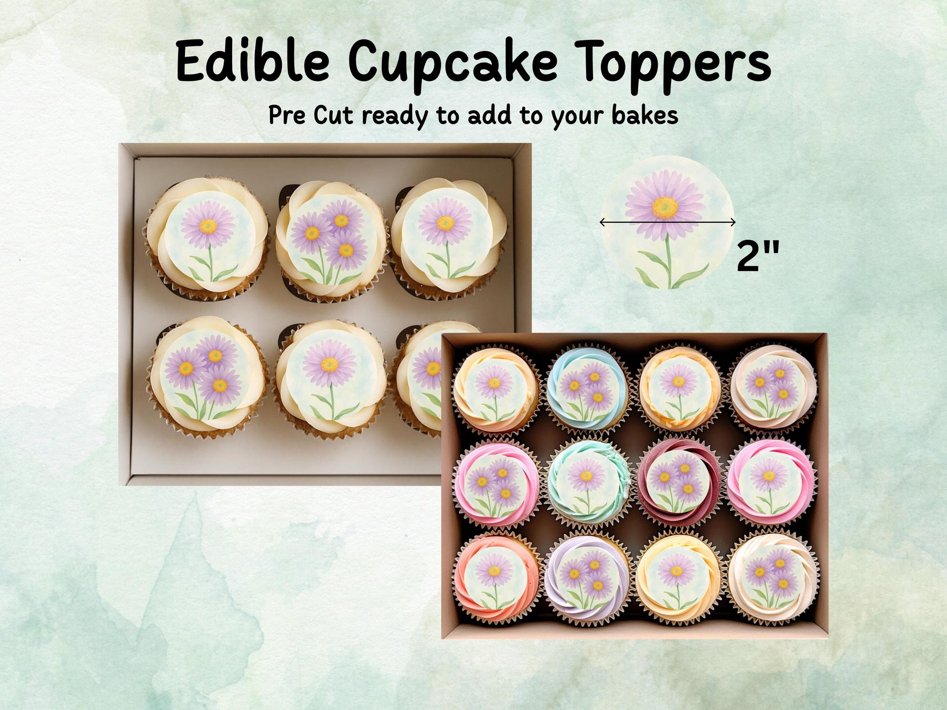 September Birth Flower Edible Cupcake Toppers – 12 x 2" Aster Design, Pre cut Wafer Paper, Card or Icing Sheet, Floral Cake Topper