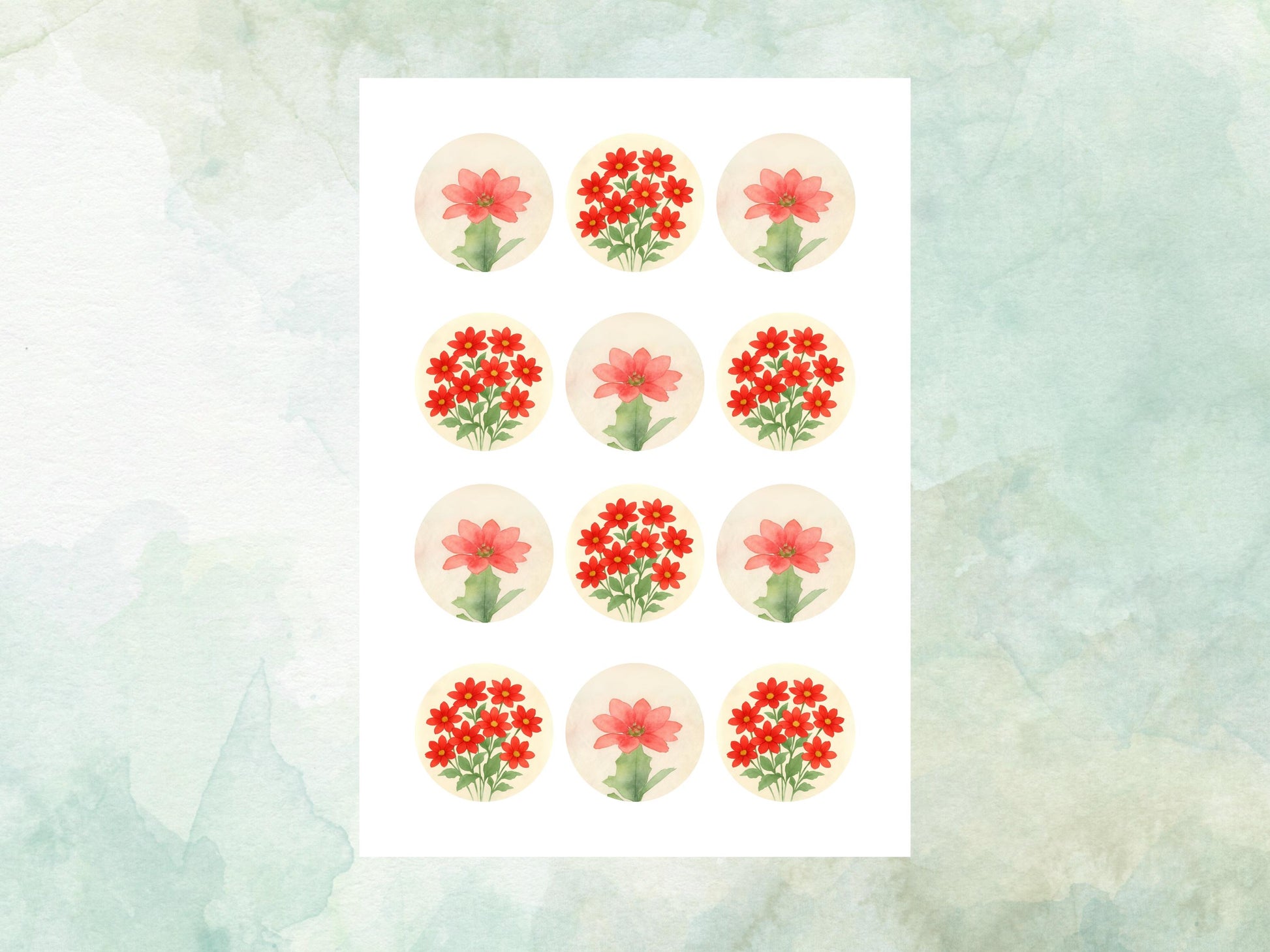 December Birth Flower Edible Cupcake Toppers – 12 x 2" Poinsettia Design, Pre cut Wafer Paper, Card or Icing Sheet, Floral Cake Topper