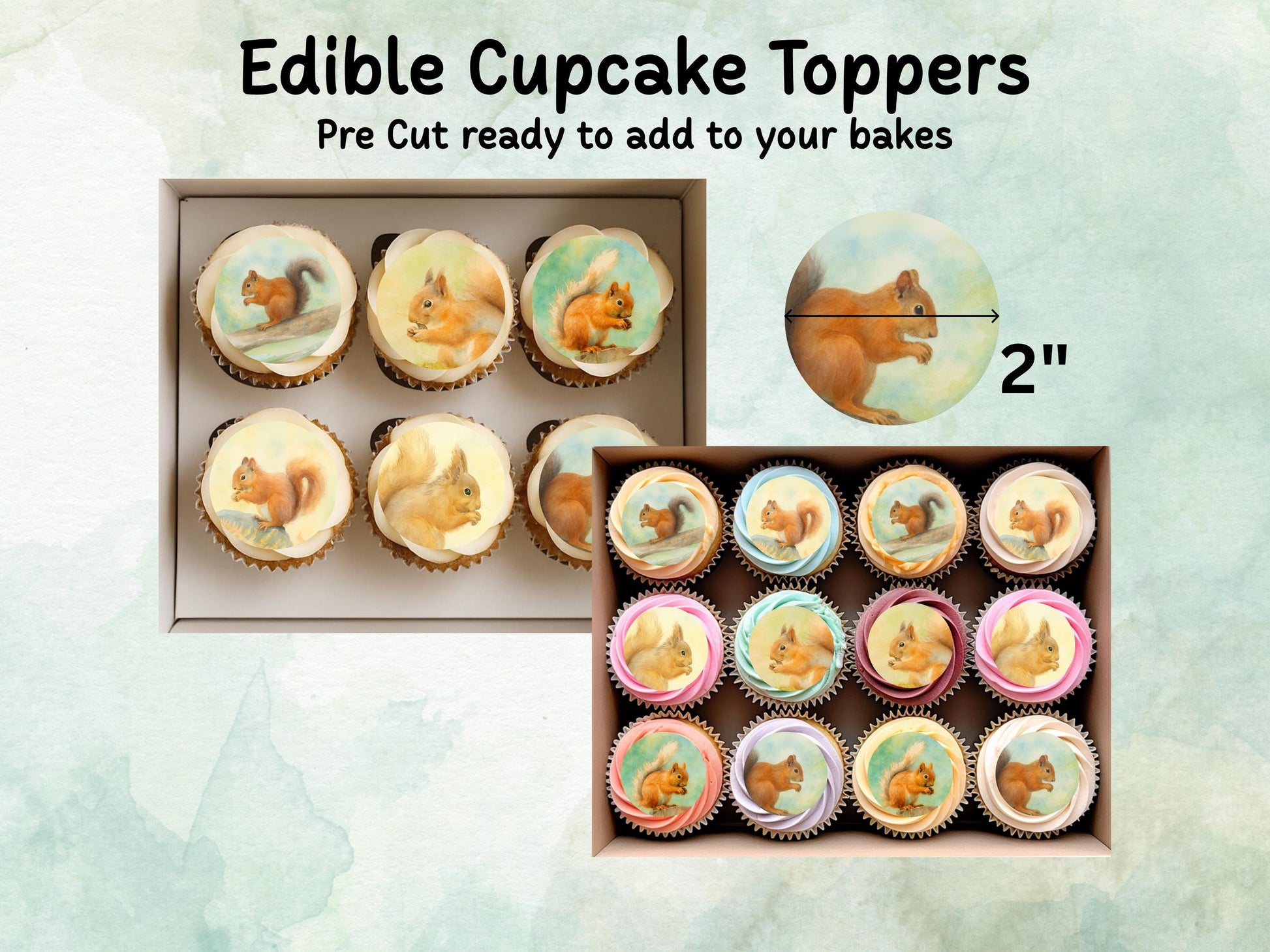 Squirrel Edible Cupcake Toppers, 12 x 2" Precut Wafer Paper, Wafer Card or Icing Sheet, Birthday Cake Decoration