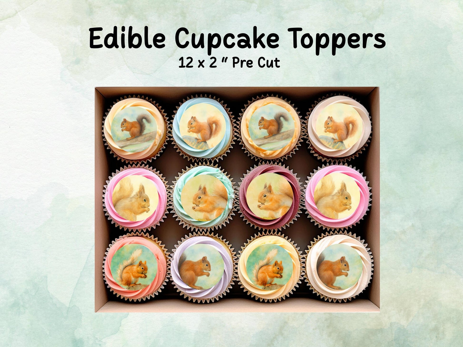 Squirrel Edible Cupcake Toppers, 12 x 2" Precut Wafer Paper, Wafer Card or Icing Sheet, Birthday Cake Decoration