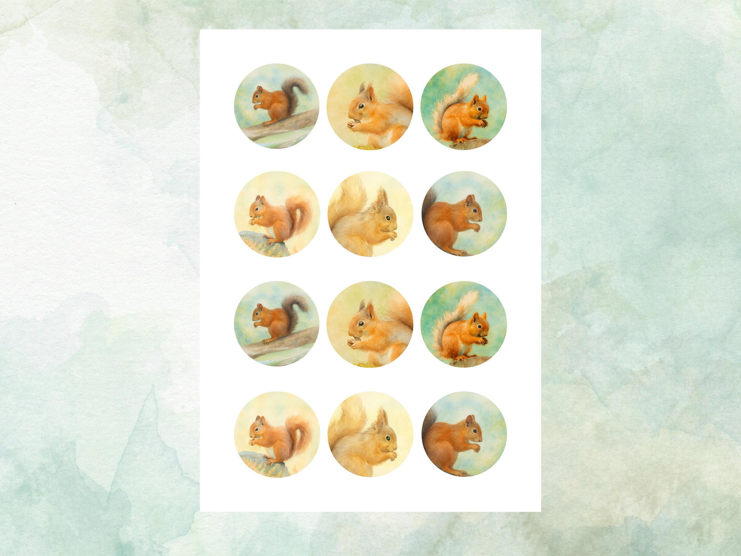 Squirrel Edible Cupcake Toppers, 12 x 2" Precut Wafer Paper, Wafer Card or Icing Sheet, Birthday Cake Decoration