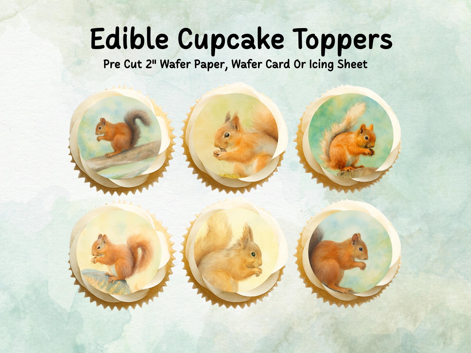 Squirrel Edible Cupcake Toppers, 12 x 2" Precut Wafer Paper, Wafer Card or Icing Sheet, Birthday Cake Decoration