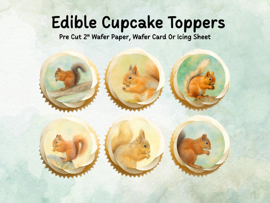 Squirrel Edible Cupcake Toppers, 12 x 2" Precut Wafer Paper, Wafer Card or Icing Sheet, Birthday Cake Decoration