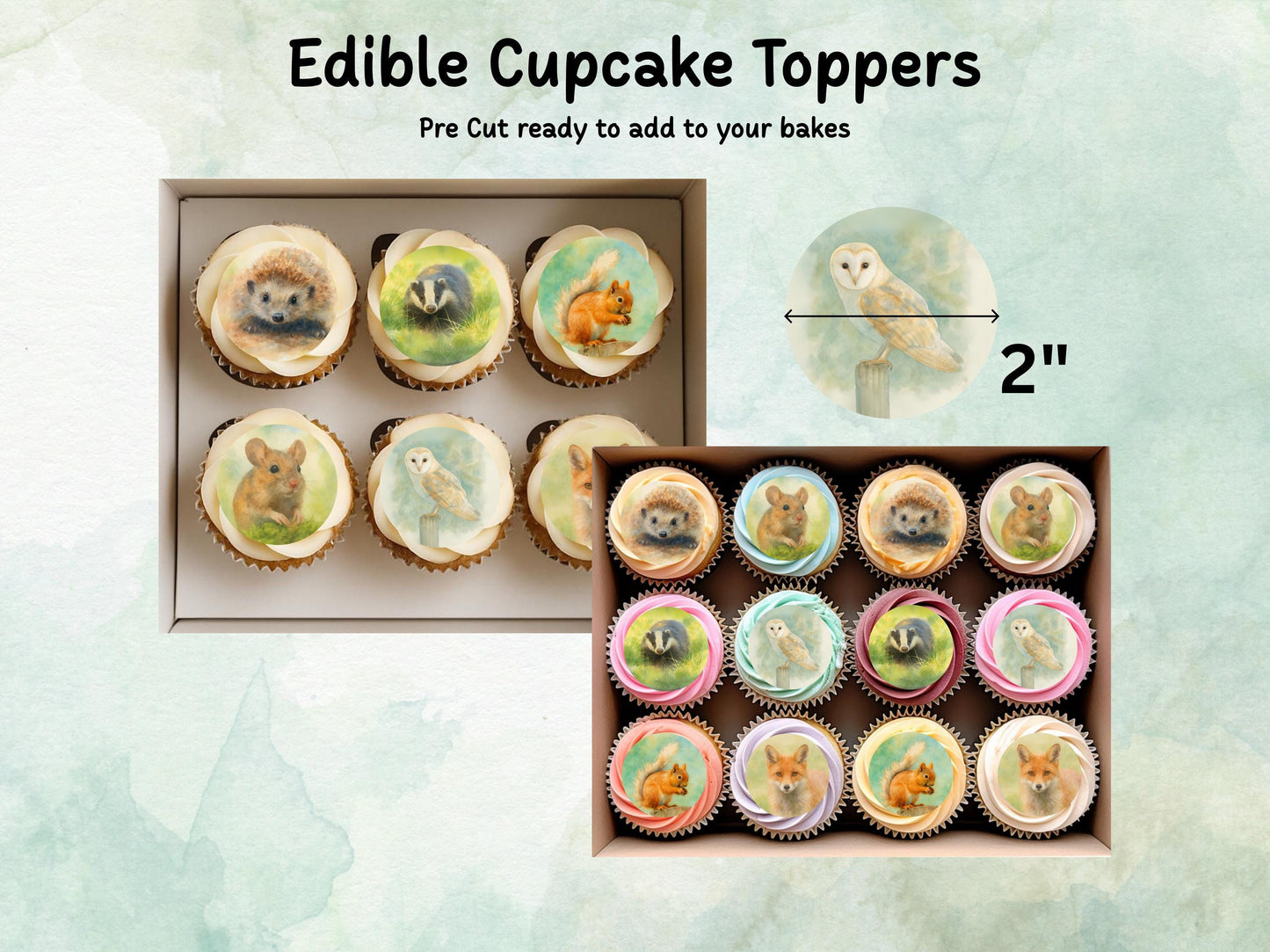 Forest Animal Edible Cupcake Toppers 12 x 2" Woodland Cake Decoration