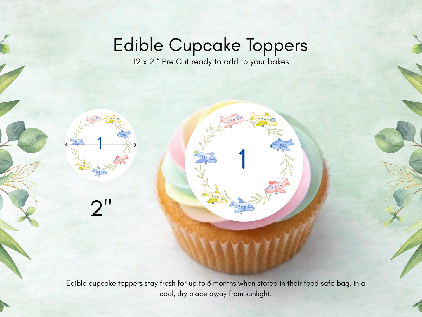 Custom Airplane Birthday Cupcake Toppers: Edible Wafer Paper, Card, or Icing sheet (12 x 2")