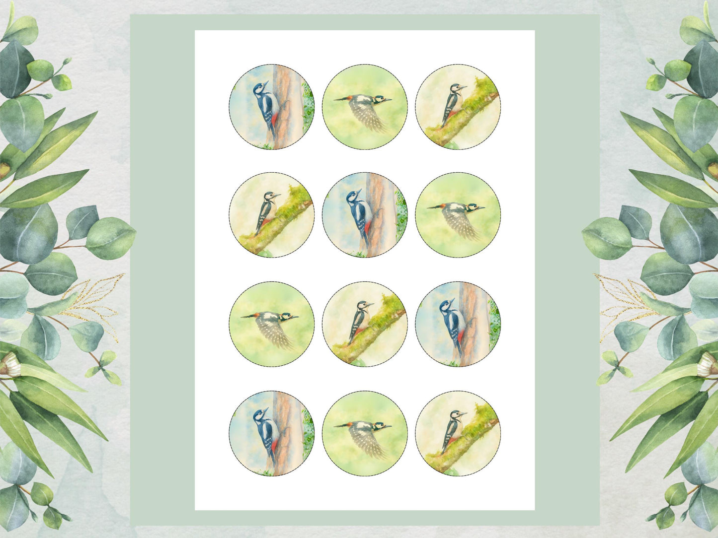 Woodpecker Edible Cupcake Toppers – Precut Wafer Paper, Icing Sheet