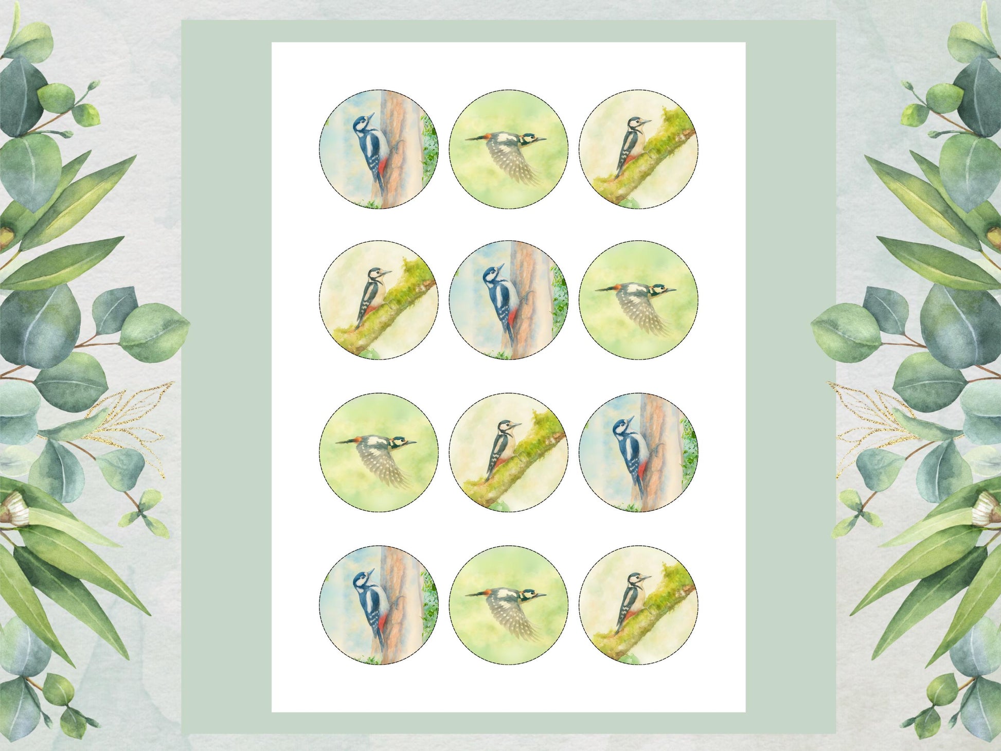 Woodpecker Edible Cupcake Toppers – Precut Wafer Paper, Icing Sheet