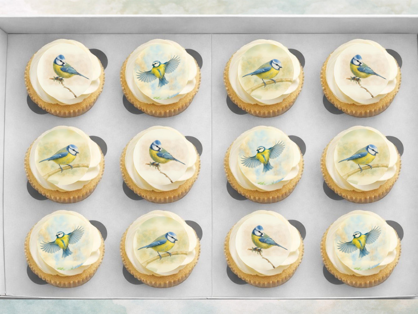 Blue Tit Bird Edible Cupcake Toppers – Precut Wafer Decorations
