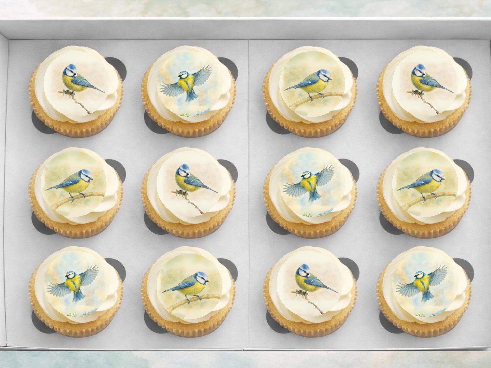 Blue Tit Bird Edible Cupcake Toppers – Precut Wafer Decorations