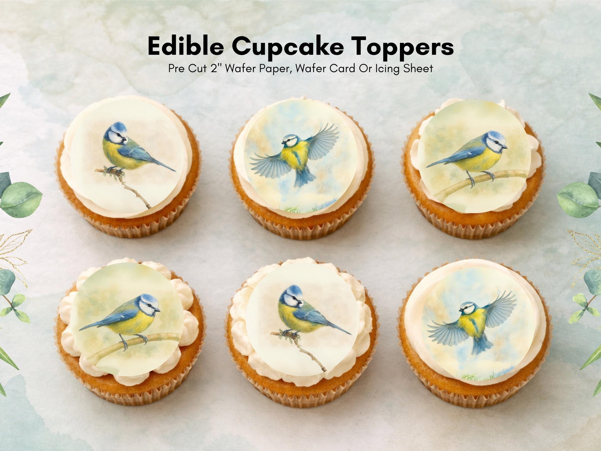 Blue Tit Bird Edible Cupcake Toppers – Precut Wafer Decorations