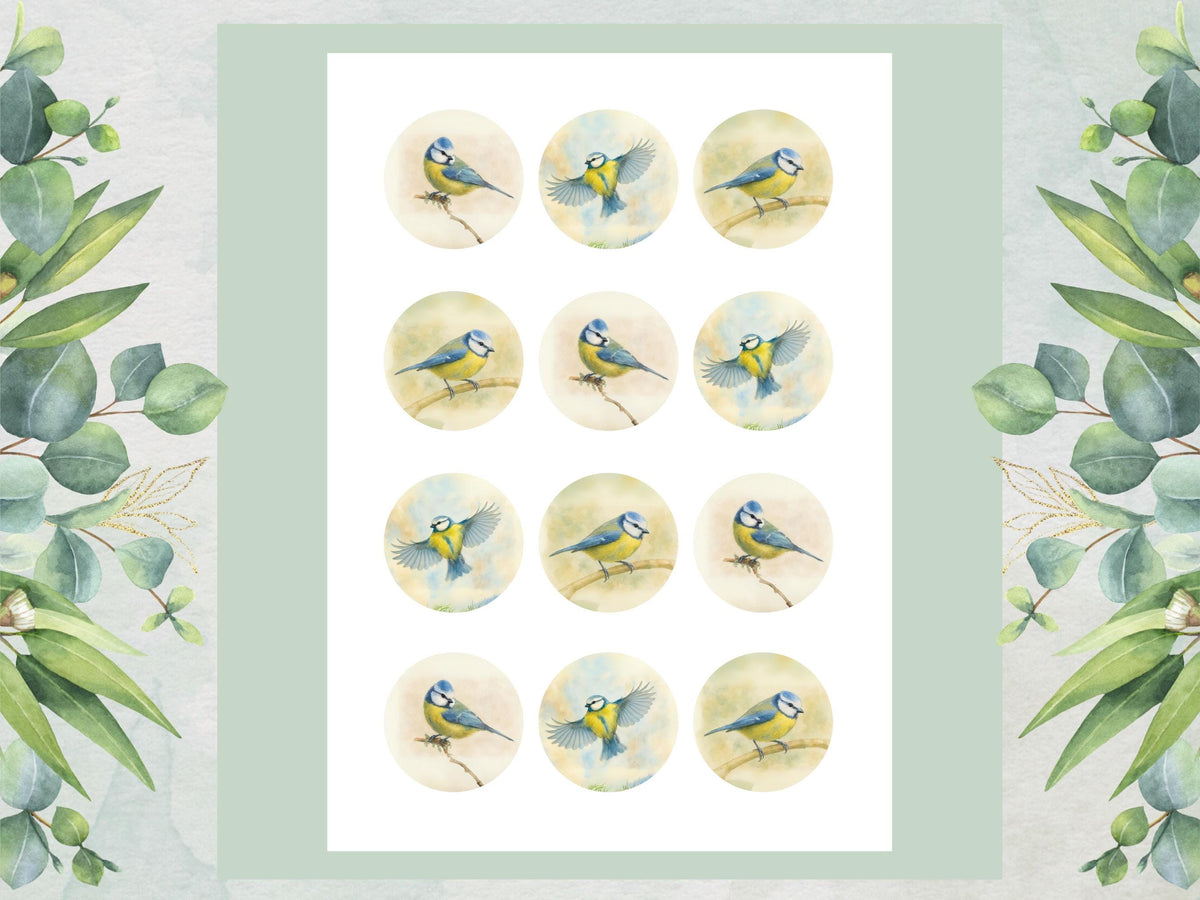 Blue Tit Bird Edible Cupcake Toppers – (12 x 2" Pre-Cut) Wafer Decorations