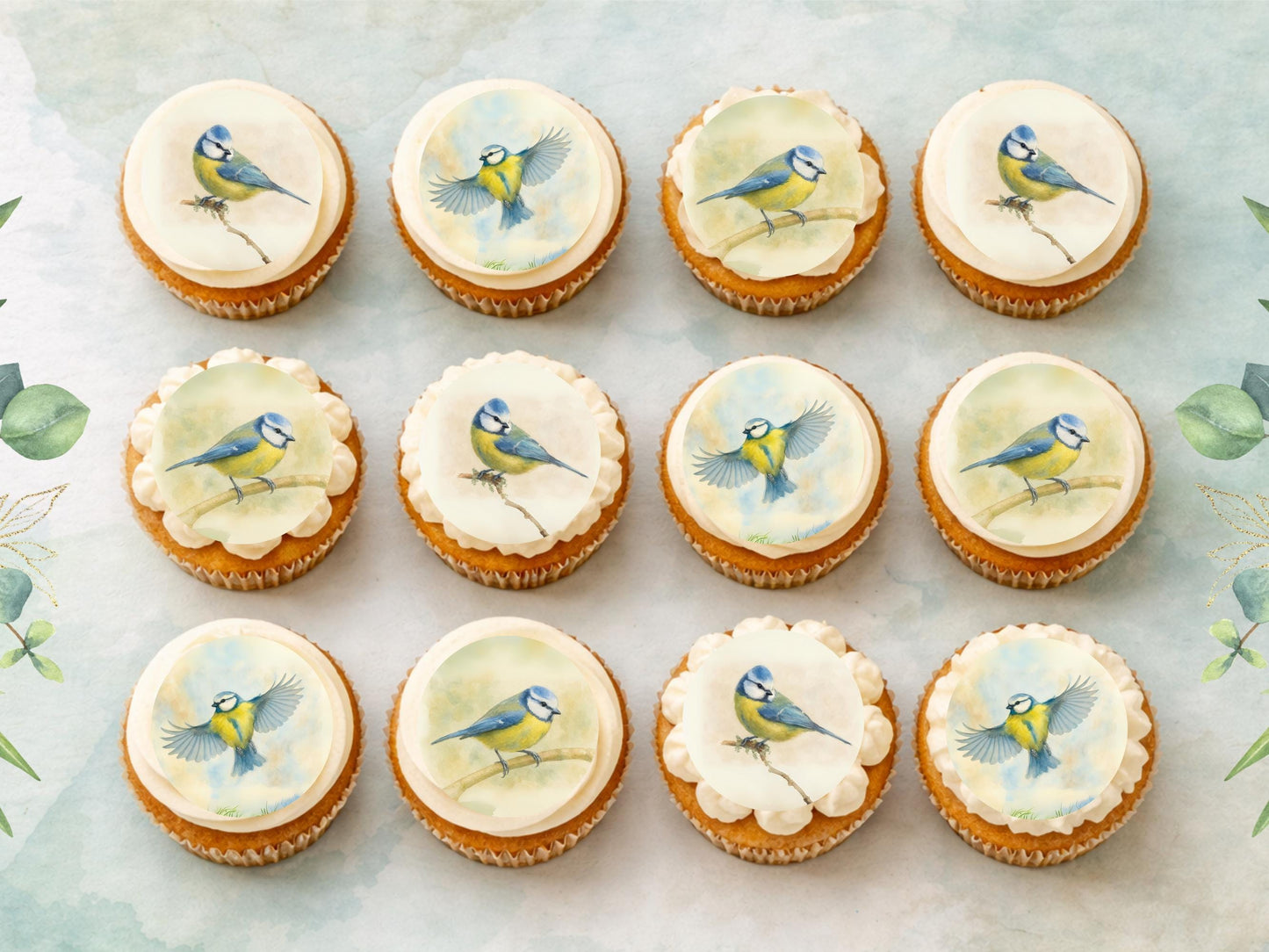 Blue Tit Bird Edible Cupcake Toppers – Precut Wafer Decorations